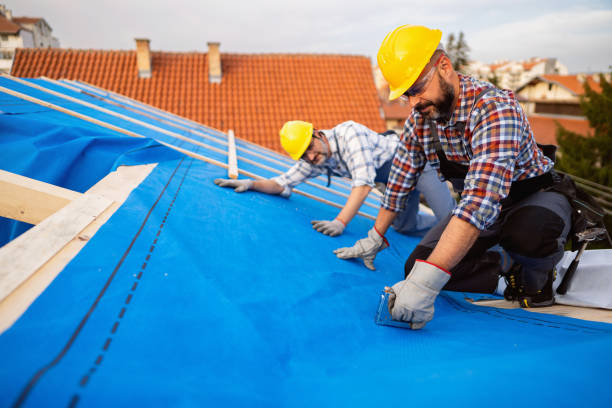 Best Roof Coating and Sealing  in Big Stone Gap, VA